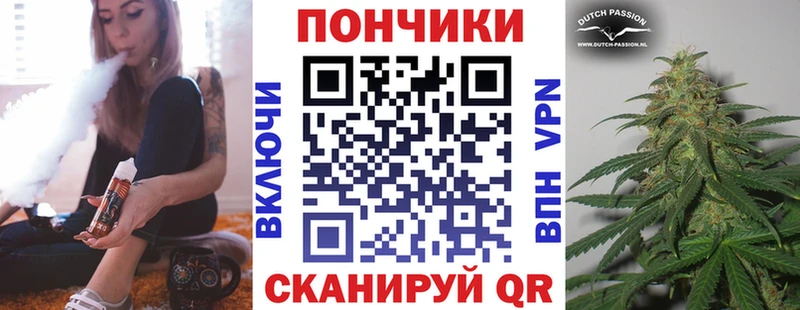 Шишки марихуана сатива  купить закладку  Свирск 